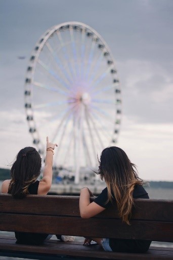 ferris wheel